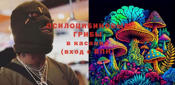 гашик Вязьма