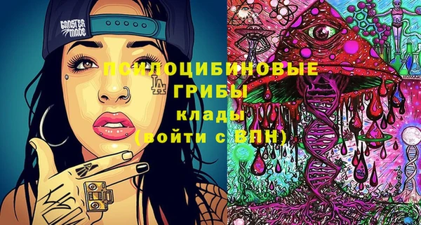 ешки Белоозёрский