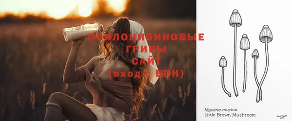 соль ск Аша