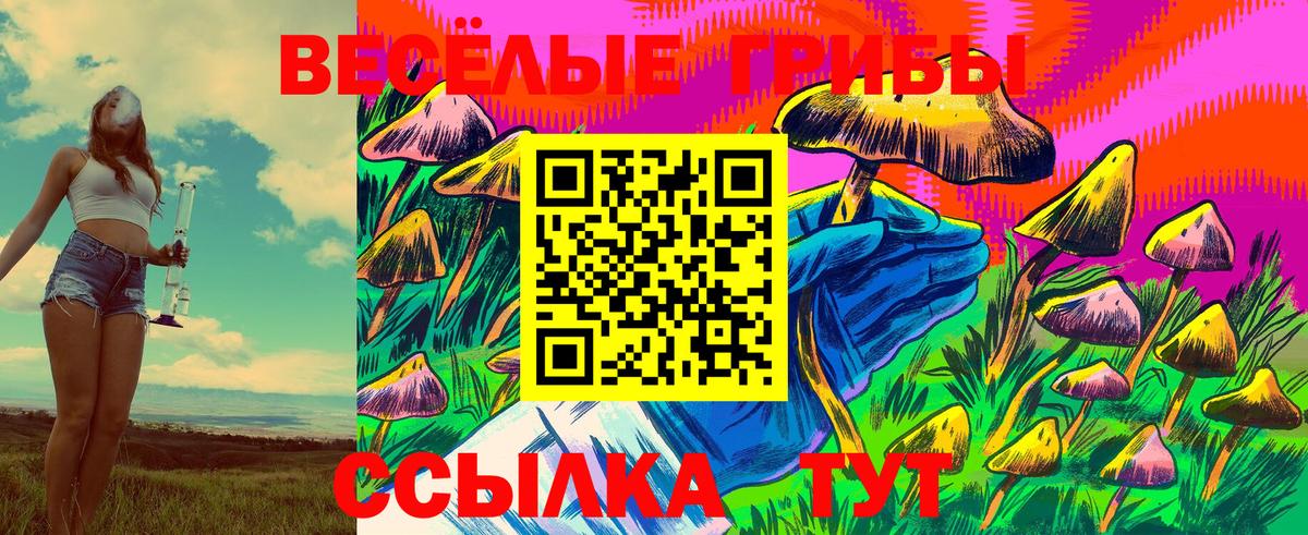 Галлюциногенные грибы Psilocybine cubensis  Вход с VPN  Галлюциногенные грибы Psilocybe  Верхняя Пышма 