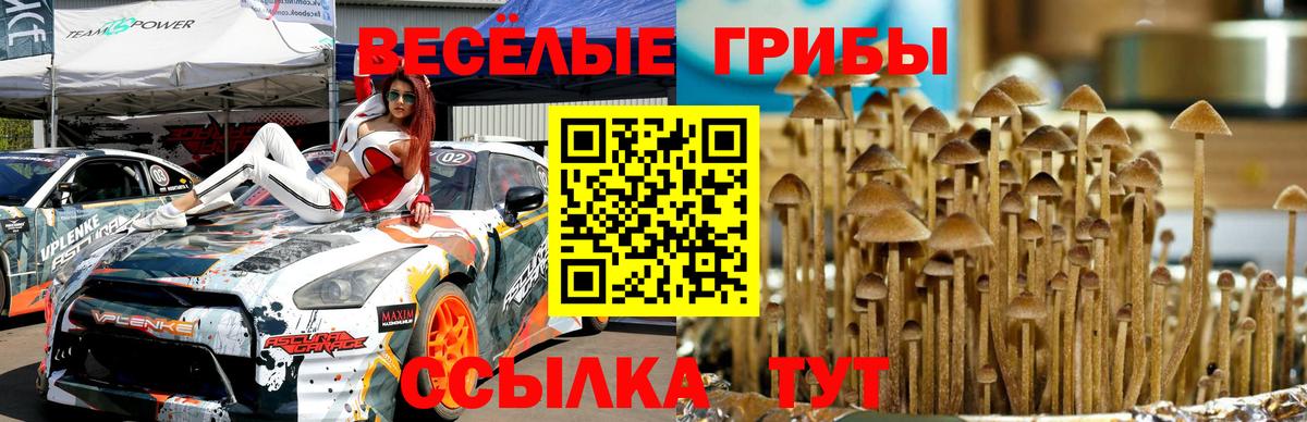 Галлюциногенные грибы Cubensis  наркошоп  Верхняя Пышма 