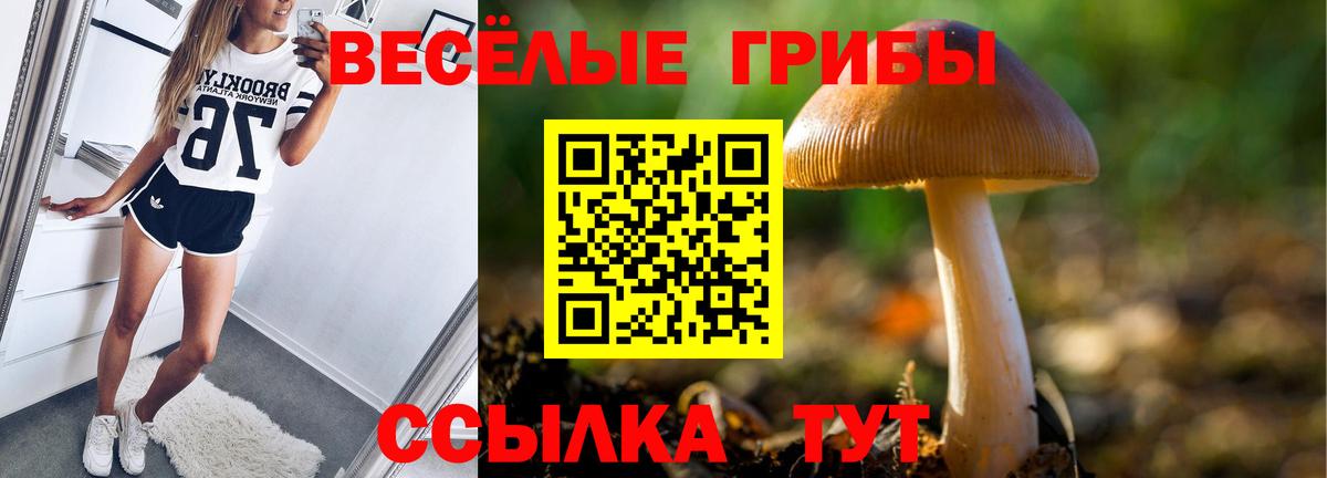 Кодеин Верхняя Пышма