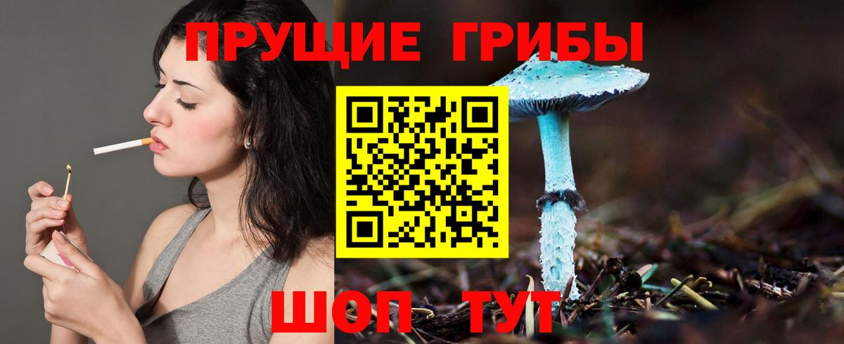 Галлюциногенные грибы Magic Shrooms Верхняя Пышма